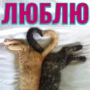 ❤️
