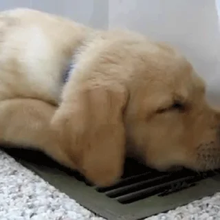 😴