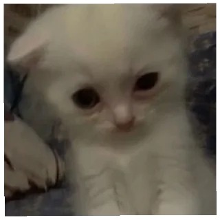 😄