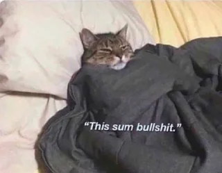 😴