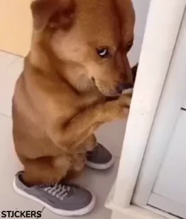 🙁