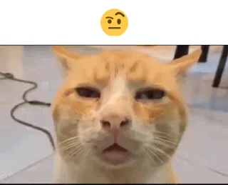 😾