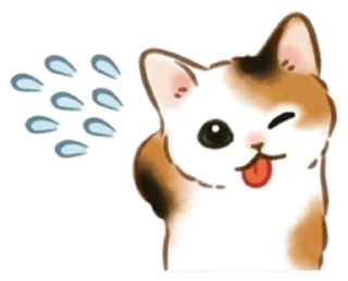 🐱