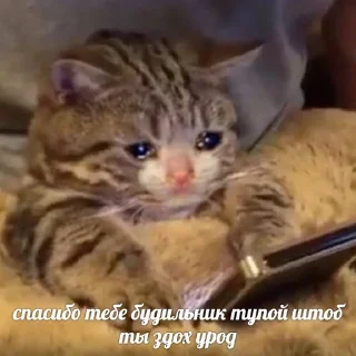 😣