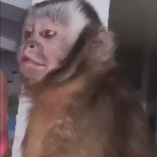 😯