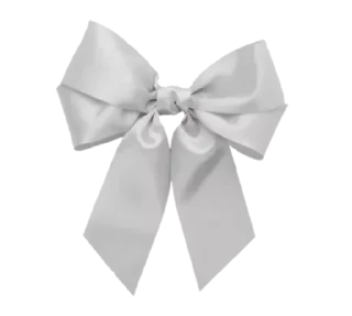 🎀