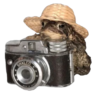 📷