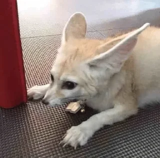 😧