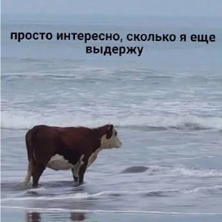 😐
