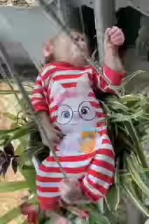 😭
