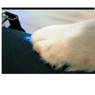 👍