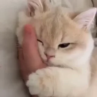 😌