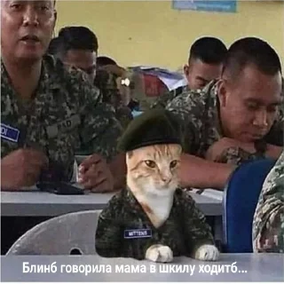 😶