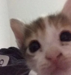 🎀