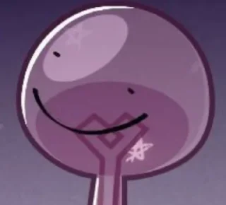🌟