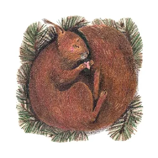 🐿