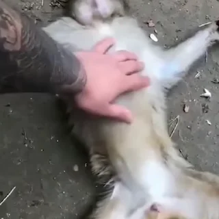 😖