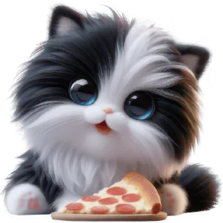 🍕