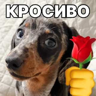 💅