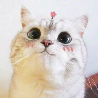 😊