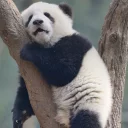 😑