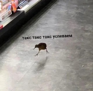 🏃‍♀️