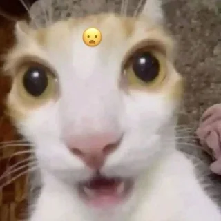 😧