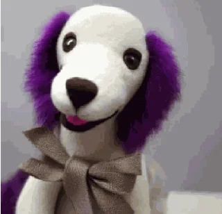 🐩