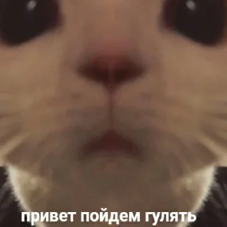 🤗