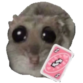 🃏