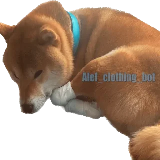 😞