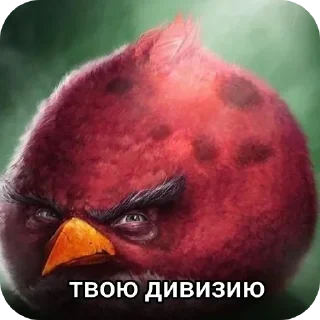 🐦