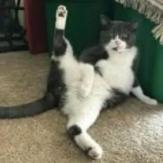🏊‍♀