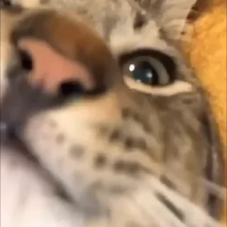 🤔