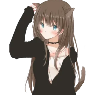 🐱