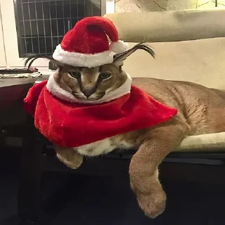 🎄