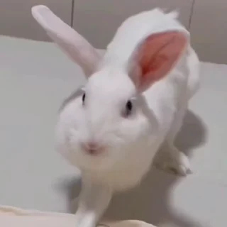 🤩