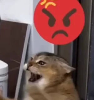 🤬