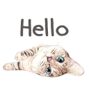 Nala & White Coffee Cat