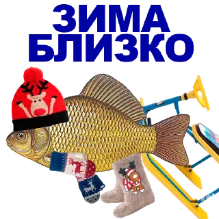 🐠
