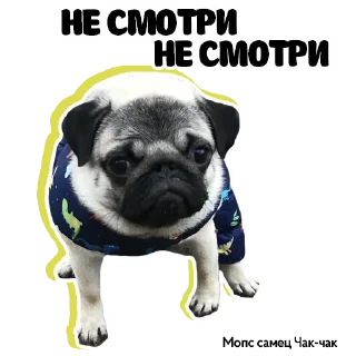 💩
