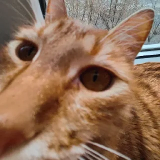 😝