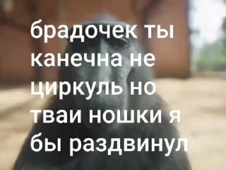😳