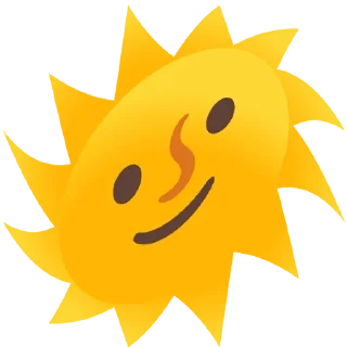 🌟