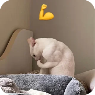 🛏