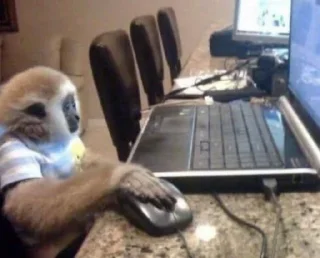 💻