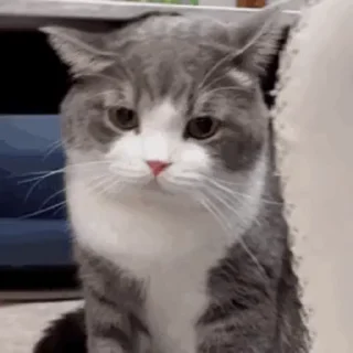 🤬