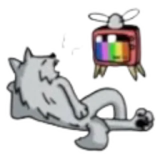 📺