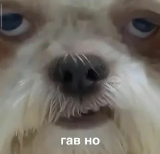 🤦‍♀