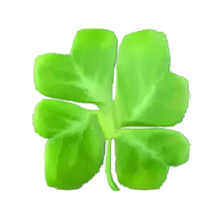 🍀